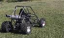 Grass001.JPG (81909 bytes)
